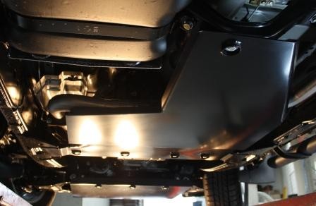 Navara D40 series 1,2,3 transfer guard