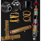 Rock Dog coilover springs