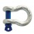 VRS Bow shackle 3.25t WLL