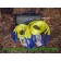 Just Straps Winch kit standard